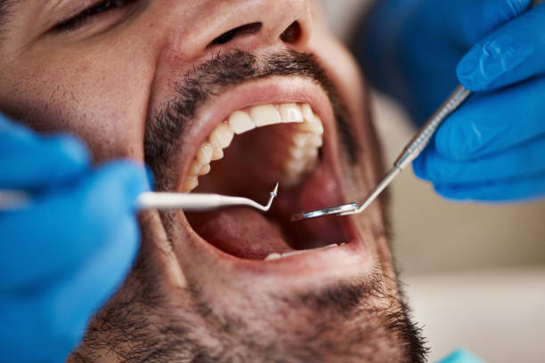 Best Emergency Orthodontic Repairs in Chauvin, LA