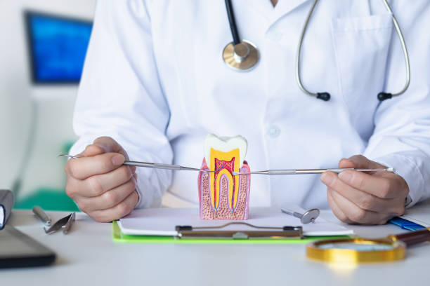 Best Emergency Care for Gum Disease in Chauvin, LA